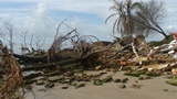 Efeitos do avanço do mar na Praia do Leste – Icapara (SP)