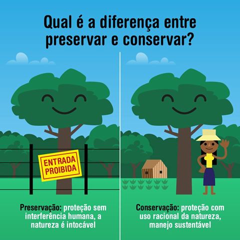 Qual a diferença entre preservar e conservar?