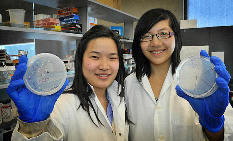 Estudante-desenvolvem-bacteria-capaz-digerir-poluicao-plastica-oceanos