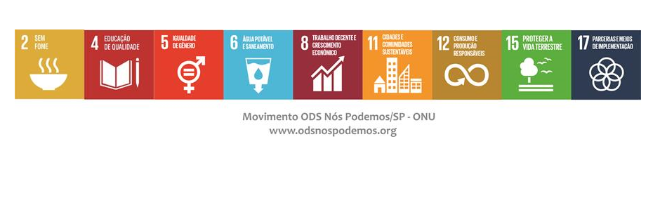 Movimento Nacional ODS Nós Podemos/SP – ONU