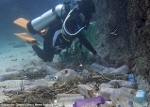 Plástico no oceano – Efeitos devastadores