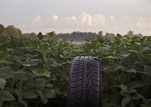 Novo pneu de soja