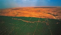 Avança a Grande Muralha Verde de 8.000 km de árvores na África