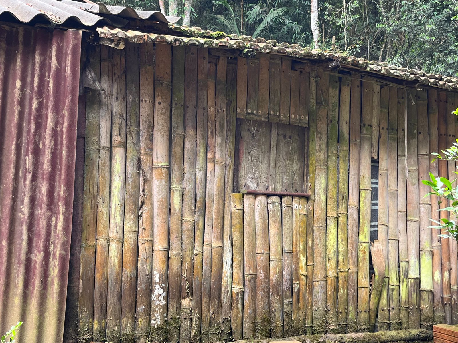 Ação nas Aldeias Guarani