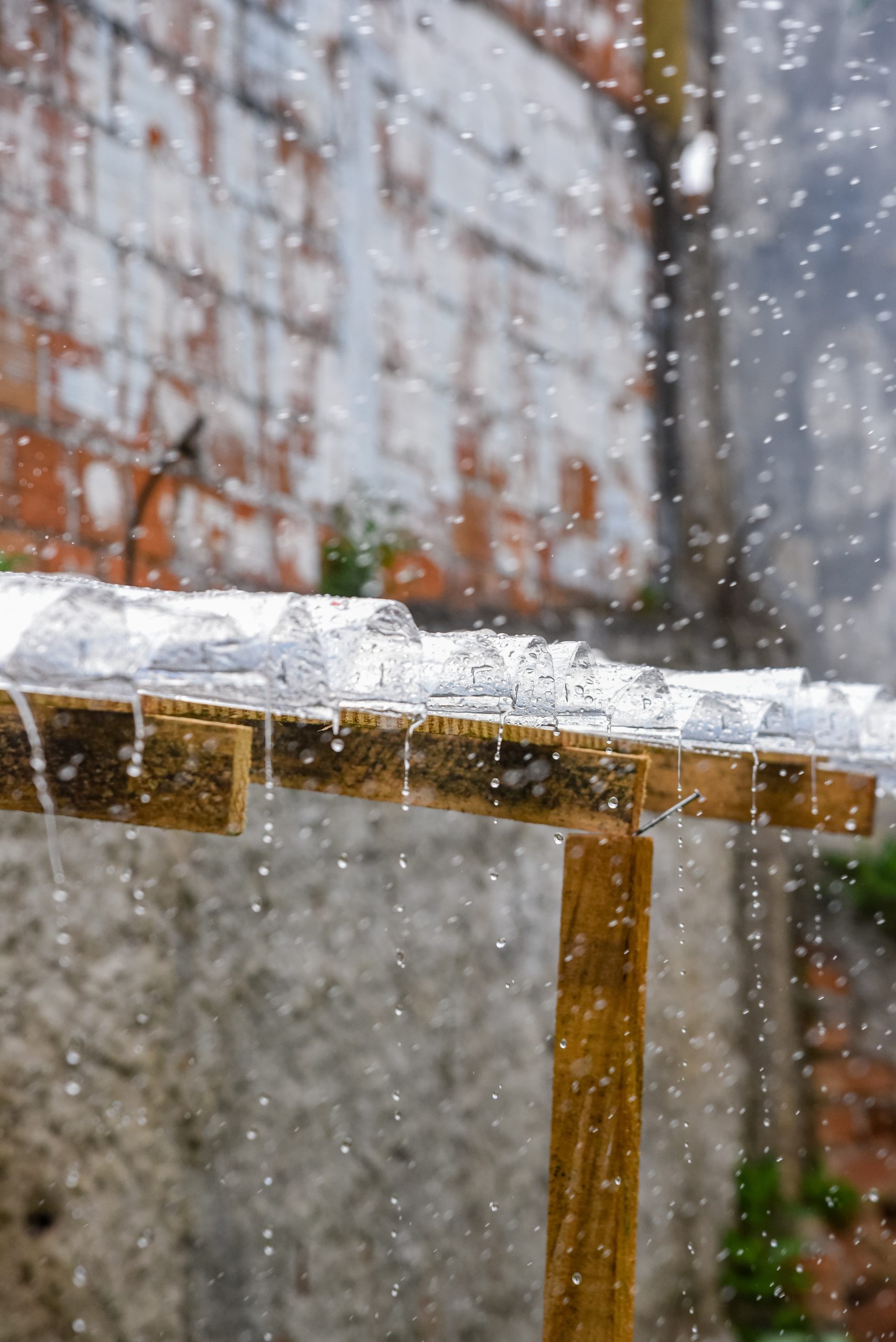Projeto Plástico com Futuro instala coletor de garrafas PET em formato de capivara no Parque Cachoeira